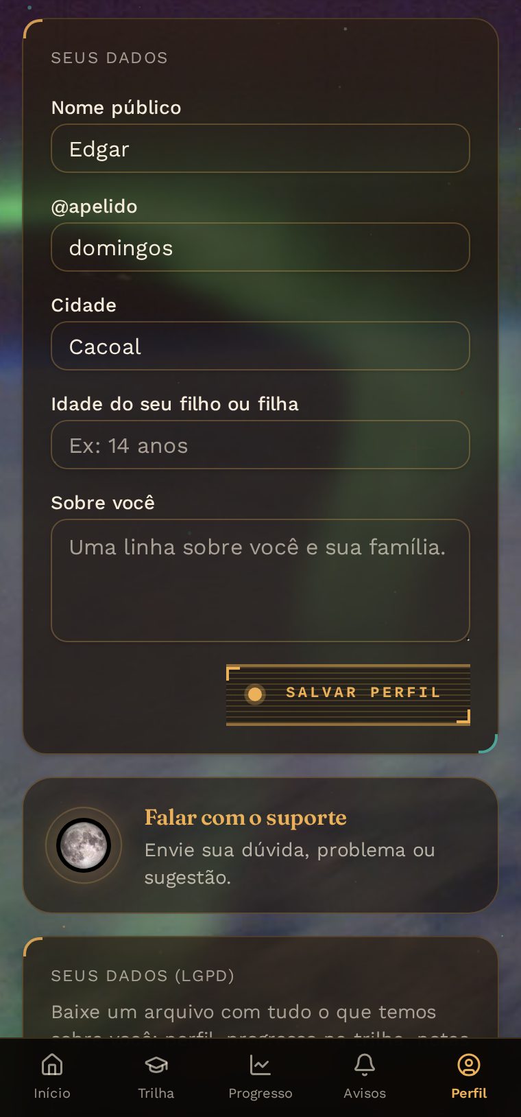 Tela de perfil com o acesso liberado, notificações e os dados da conta